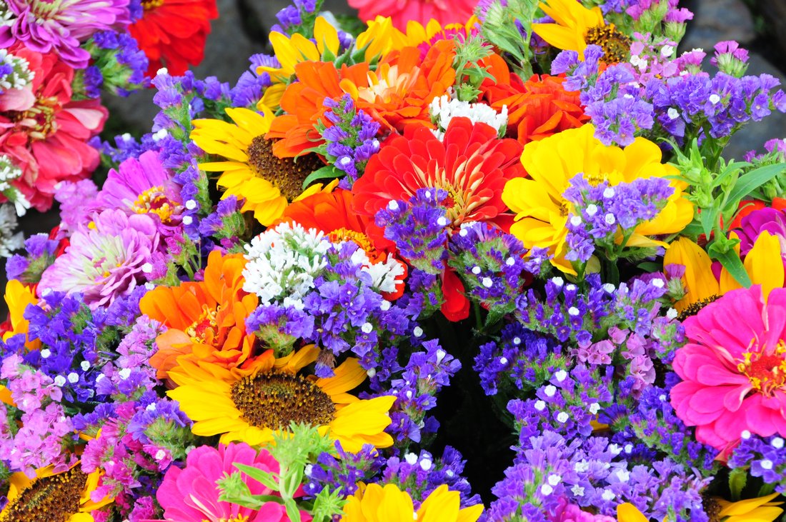 Bouquet de fleurs colorées